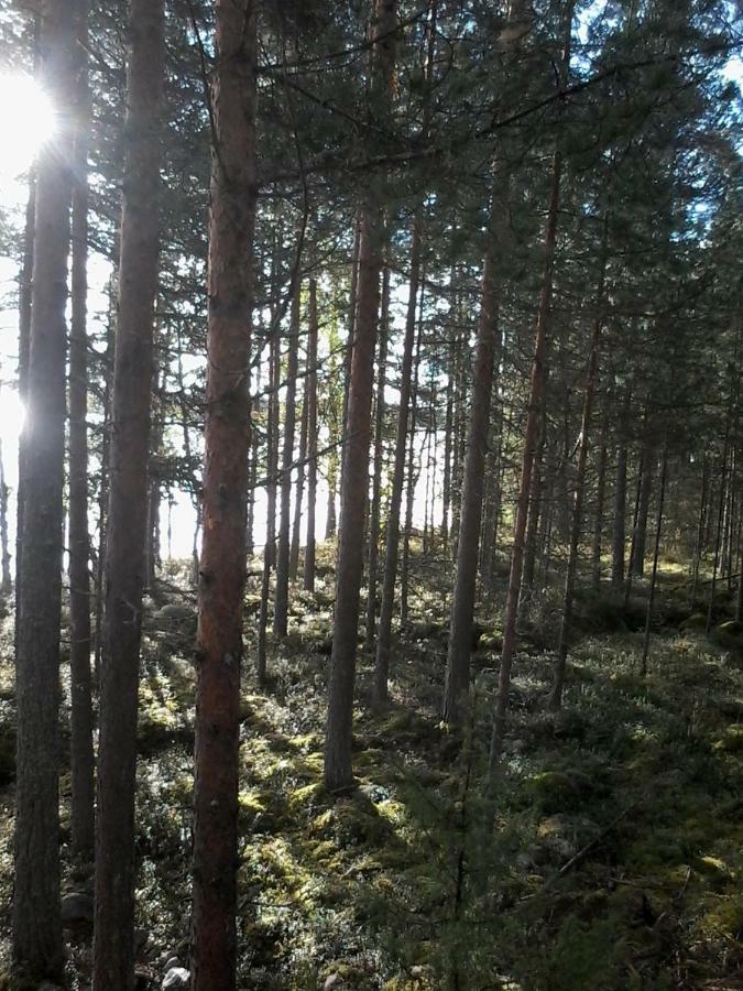 Villa Nina Luikonlahti Luaran gambar